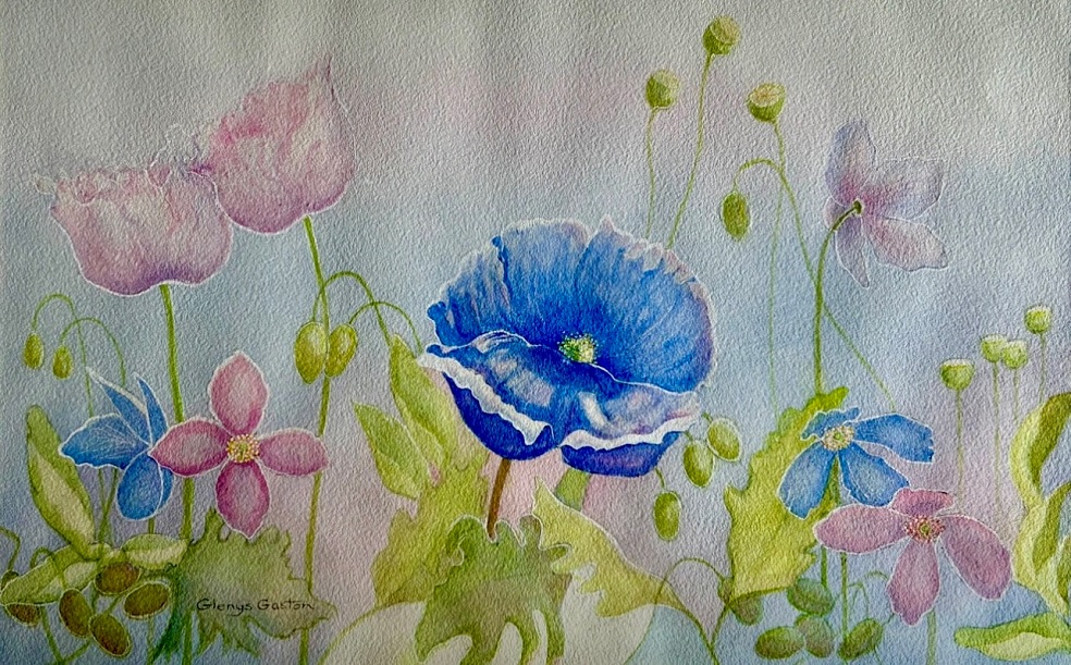 Watercolour Painting by Glenys Gaston titled Blushing Poppies II