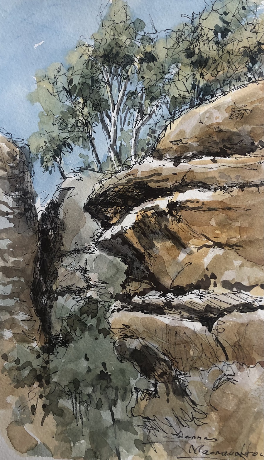 Pastel Painting by Jenny Macnaughton titled Rocky Outcrop - Dunn Swamp