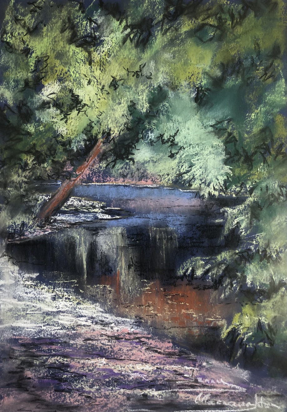 Pastel Painting by Jenny Macnaughton titled Reflections