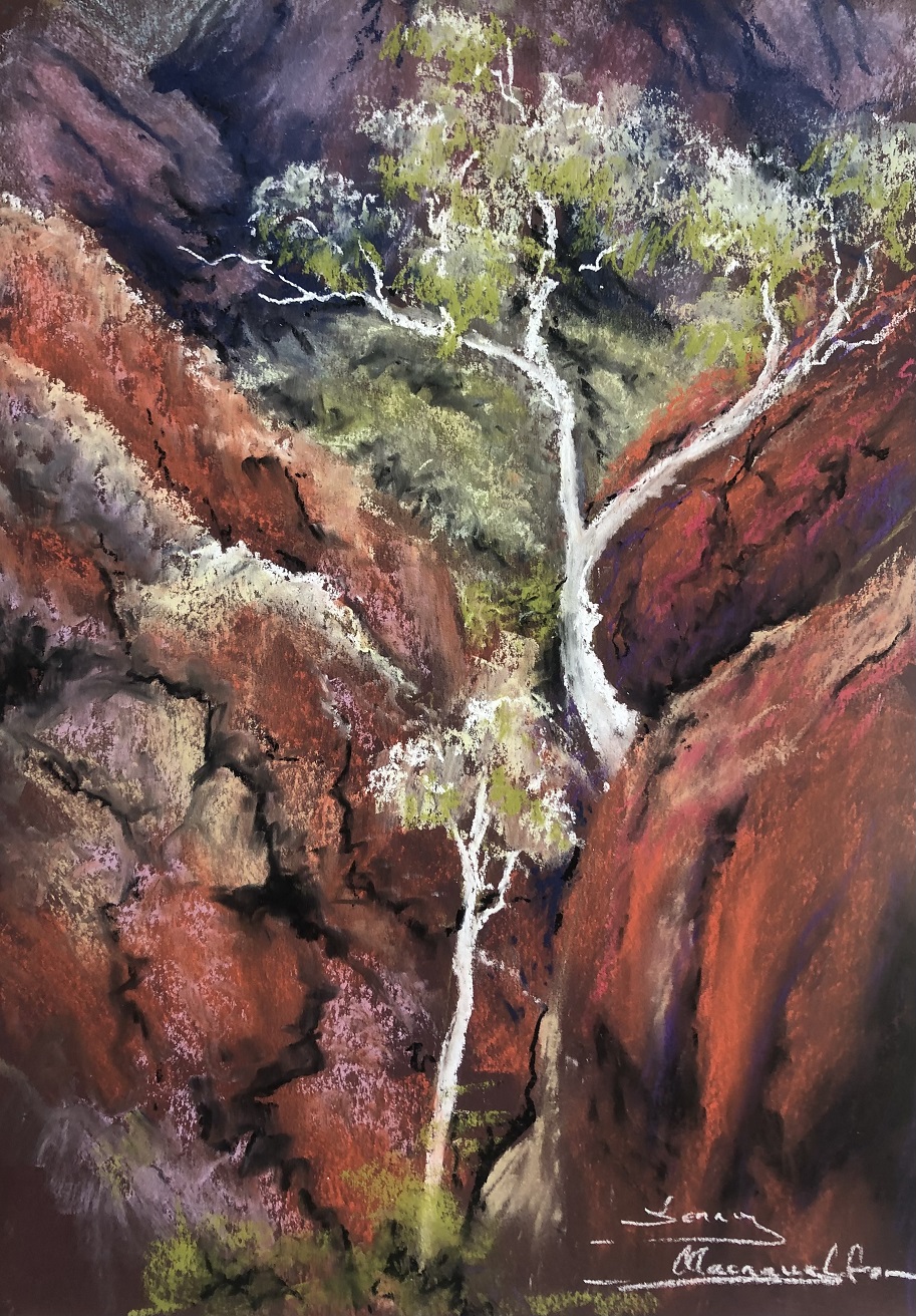 Pastel Painting by Jenny Macnaughton titled Stanley Chasm - NT