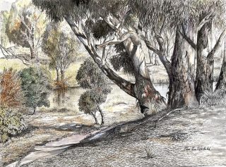 A Mixed Media painting by Ellen Lee Osterfield in the Realist style  depicting Landscape River and Trees and titled Axe Creek Victoria