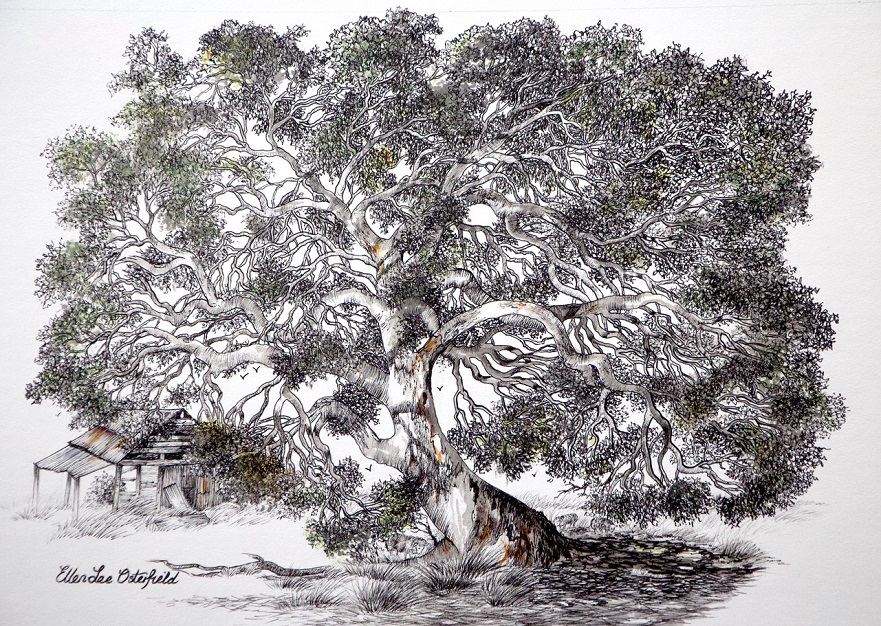 Mixed Media Painting by Ellen Lee Osterfield titled Aging gracefully
