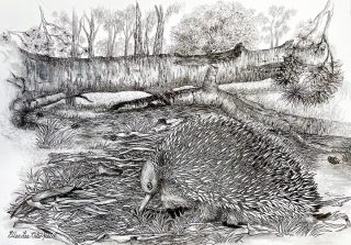 A Pencil painting by Ellen Lee Osterfield in the Realist style  Animals and titled Looking for lunch