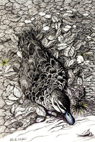 A Mixed Media painting by Ellen Lee Osterfield in the Realist style  depicting Birds with main colour being Black and White and titled Thirsty work