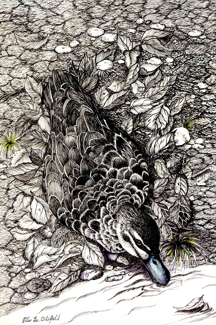 Mixed Media Painting by Ellen Lee Osterfield titled Thirsty work
