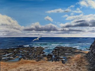 A  painting by Jenine Bell in the Realist style  depicting Seascape Beach and Birds and titled Seascape on a Clear Day