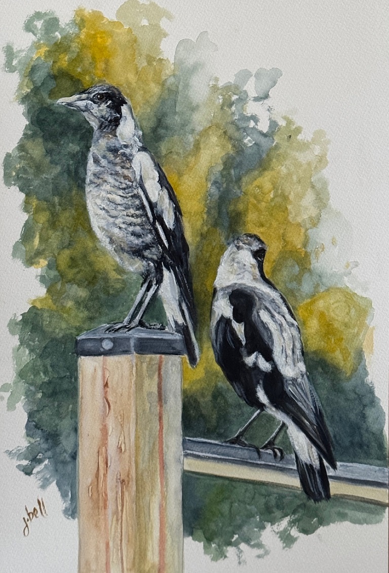 Watercolour Painting by Jenine Bell titled Magpies on Watch