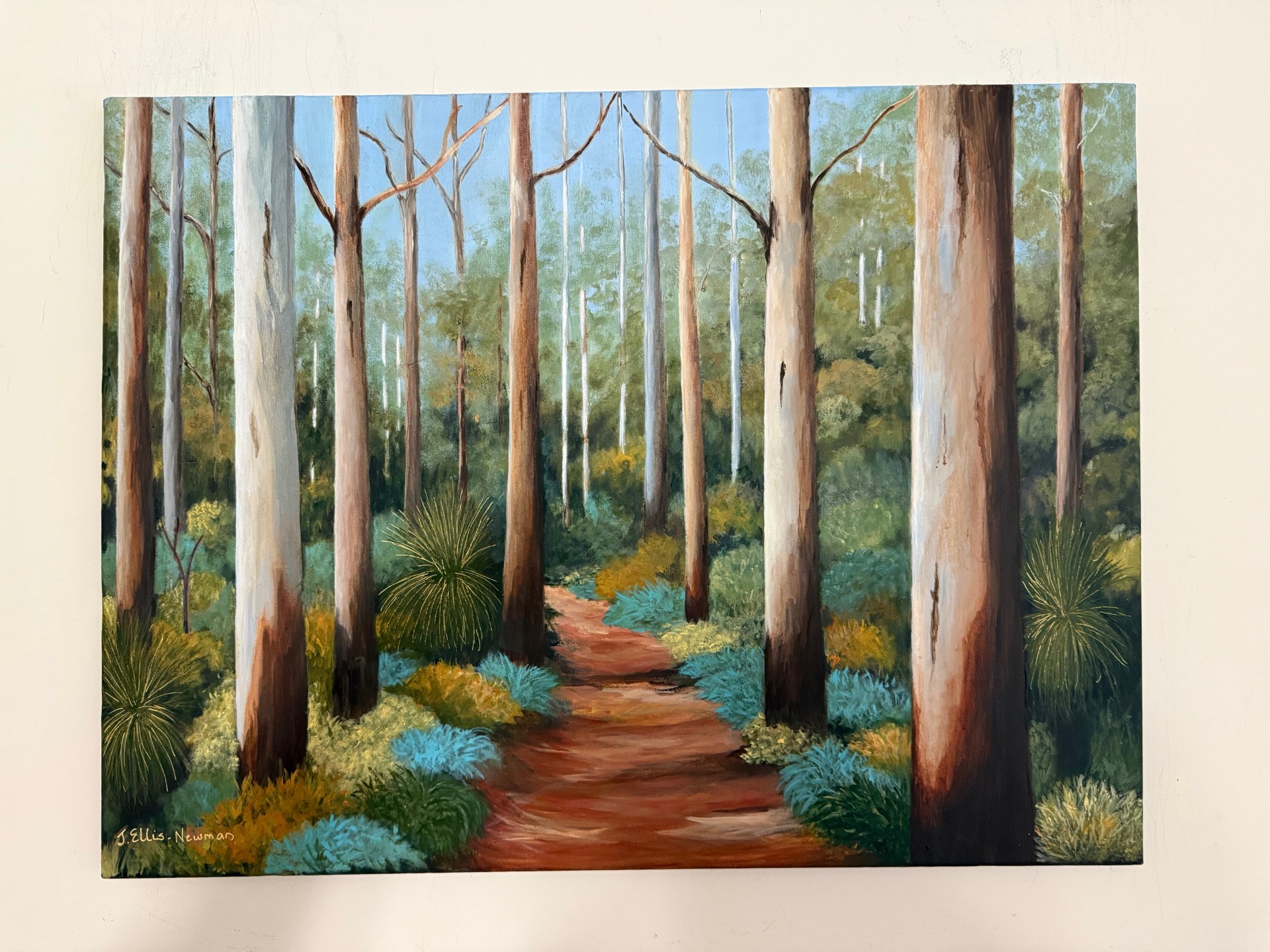 Boranup Forest hanging