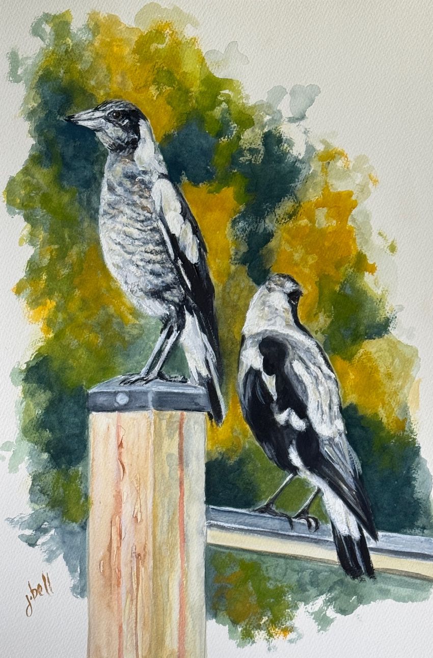 Watercolour Painting by Jenine Bell titled Magpies on Watch