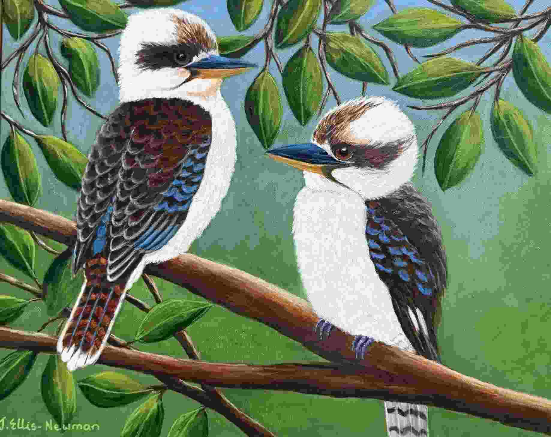 Two Kookaburras without frame low res