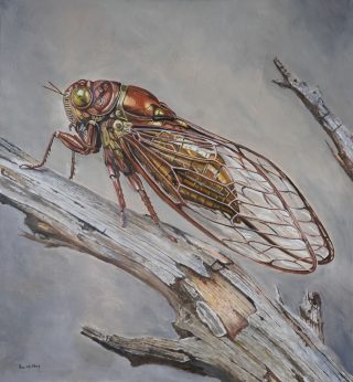 An Oil painting by Rob Kennedy in the Contemporary Realist style  depicting Industrial Fantasy Insects and Interior with main colour being Grey and Red and titled Entomorph 1 Cicada