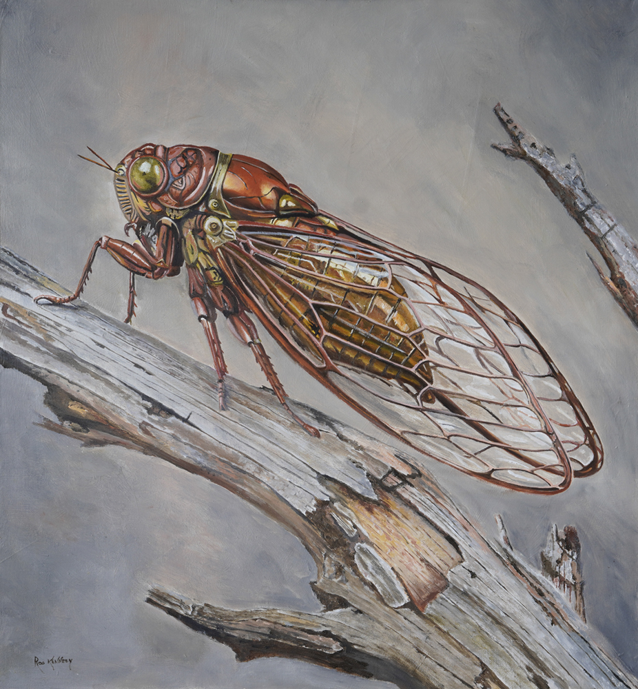 Oil Painting by Rob Kennedy titled Entomorph 1 Cicada