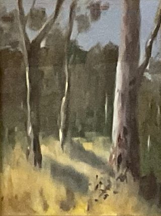 An Oil painting by Lyn Ellis in the Impressionist style  depicting Landscape Trees and titled McCubbins Bush