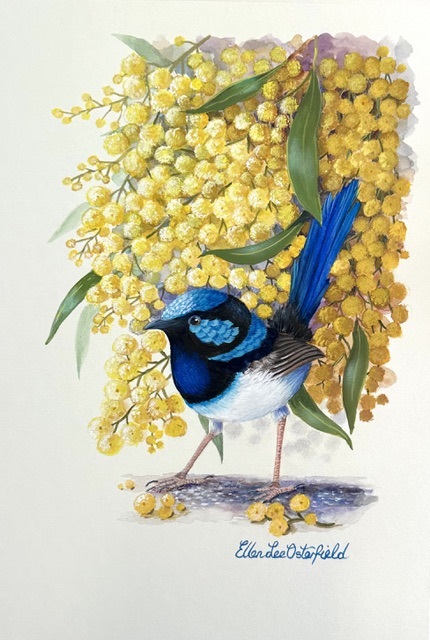 Watercolour Painting by Ellen Lee Osterfield titled Underneath the wattle