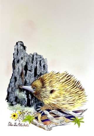 A Watercolour painting by Ellen Lee Osterfield Animals and titled Ants for Lunch