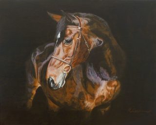 A  painting by Helen Cochrane in the Realist style  Animals with main colour being Black Brown and Grey and titled Horse Study No. 1