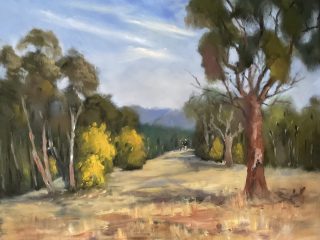An Oil painting by Lyn Ellis in the Impressionist style  depicting Landscape Bush and Trees and titled Bush walk in Wattle Season in Macedon