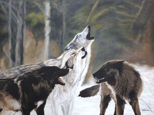 An Acrylic painting by Helen Cochrane in the Realist style  depicting Animals Landscape and Mountains with main colour being Black Brown and Grey and titled The Boys of Yellowstone